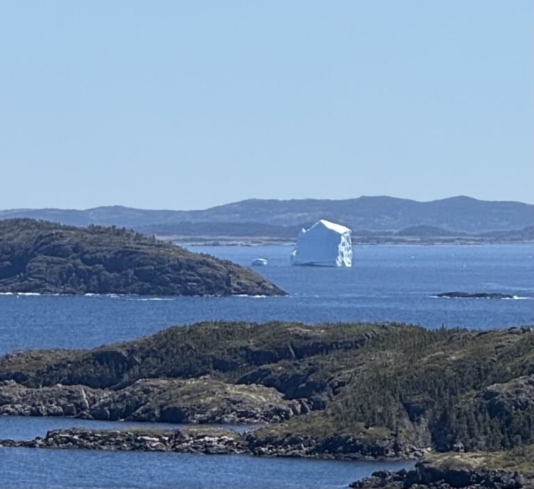 NL Day 14 – Cobbs Arm, sunshine, icebergs and music.