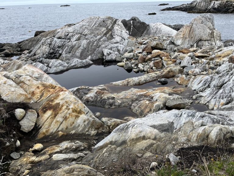 NL Day 5 – Ann Harvey trail, Isles aux Morts