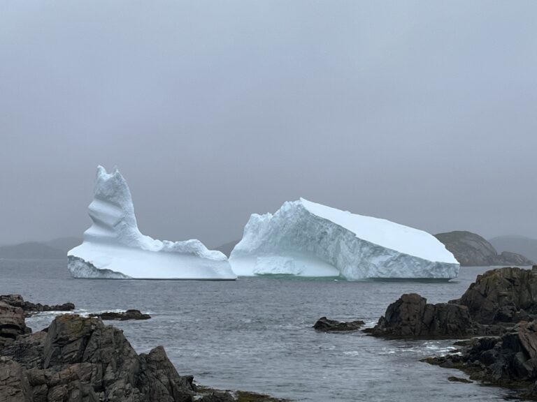 NL Day 12 – Twillingate and more