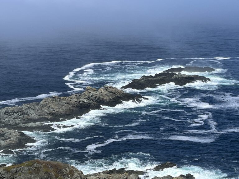 NL Day 13 – More Twillingate