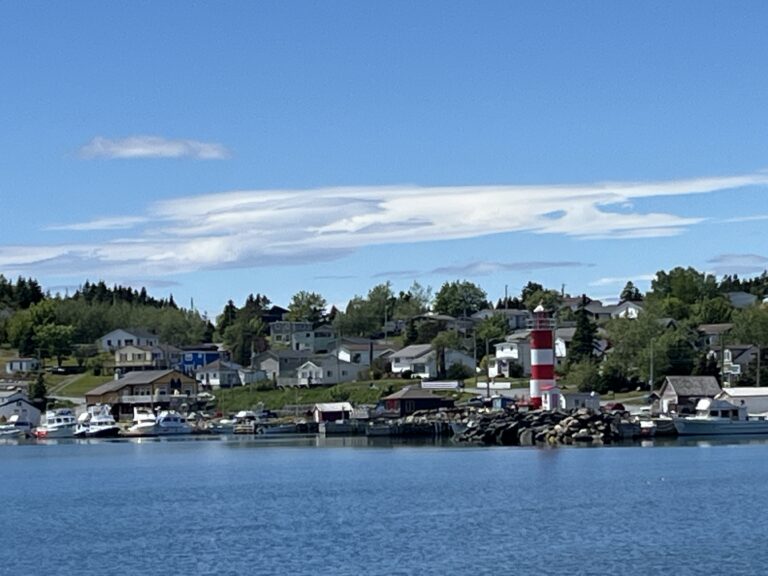 NL Day 18 – Dildo and Bacon