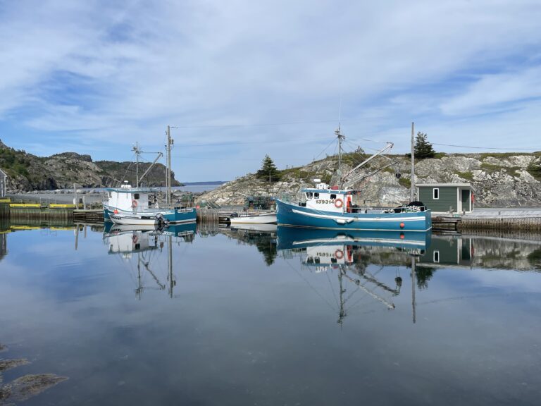 NL Day 19 – Brigus